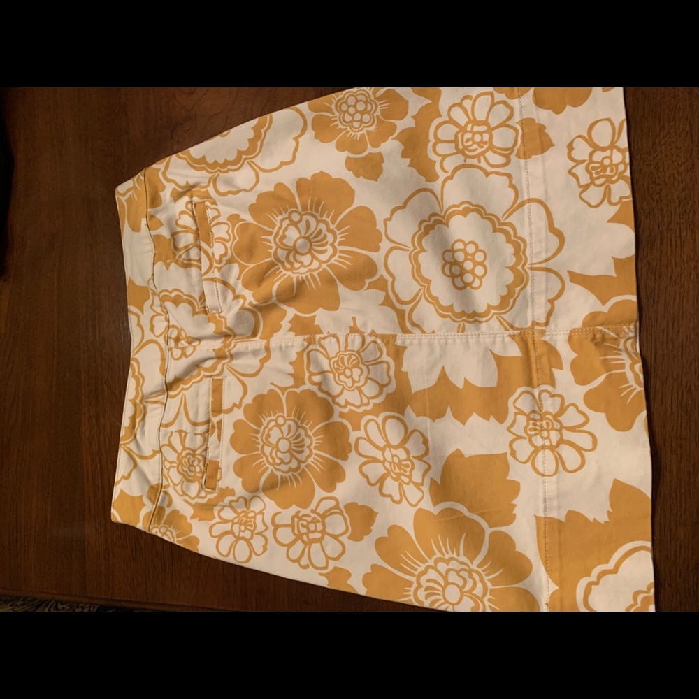Boden Skirt Size 4